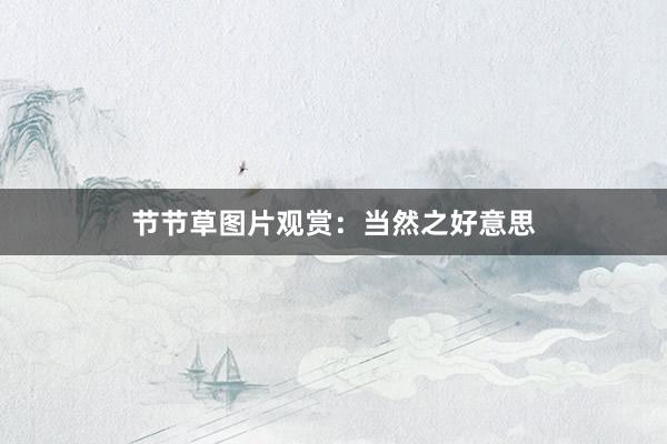 节节草图片观赏：当然之好意思